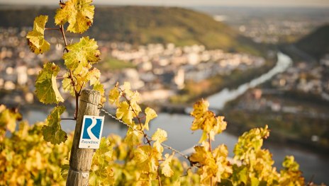 Rheinsteig Logo | &copy; Marco Rothbrust, Mittelrhein
