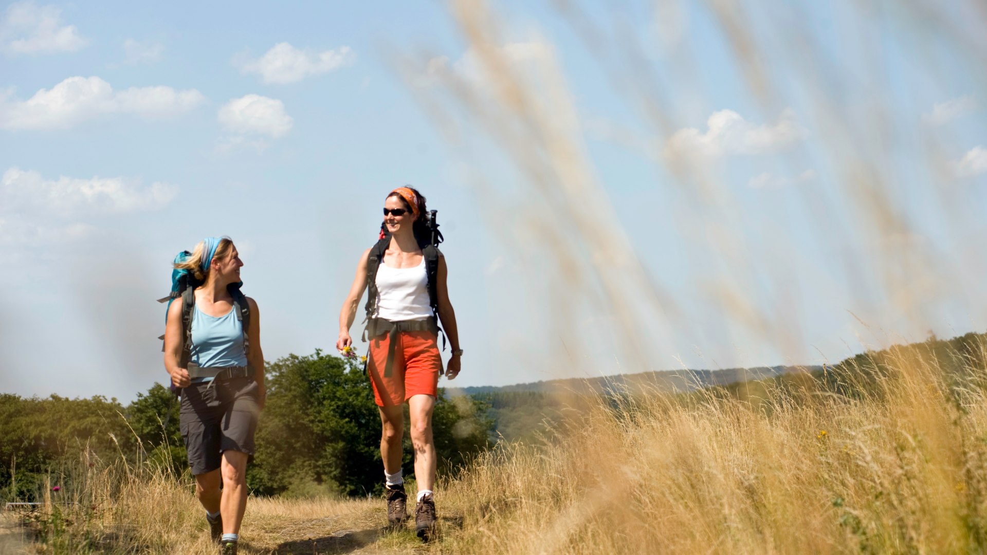 Hikers on the Rheinsteig | © Dominik Ketz