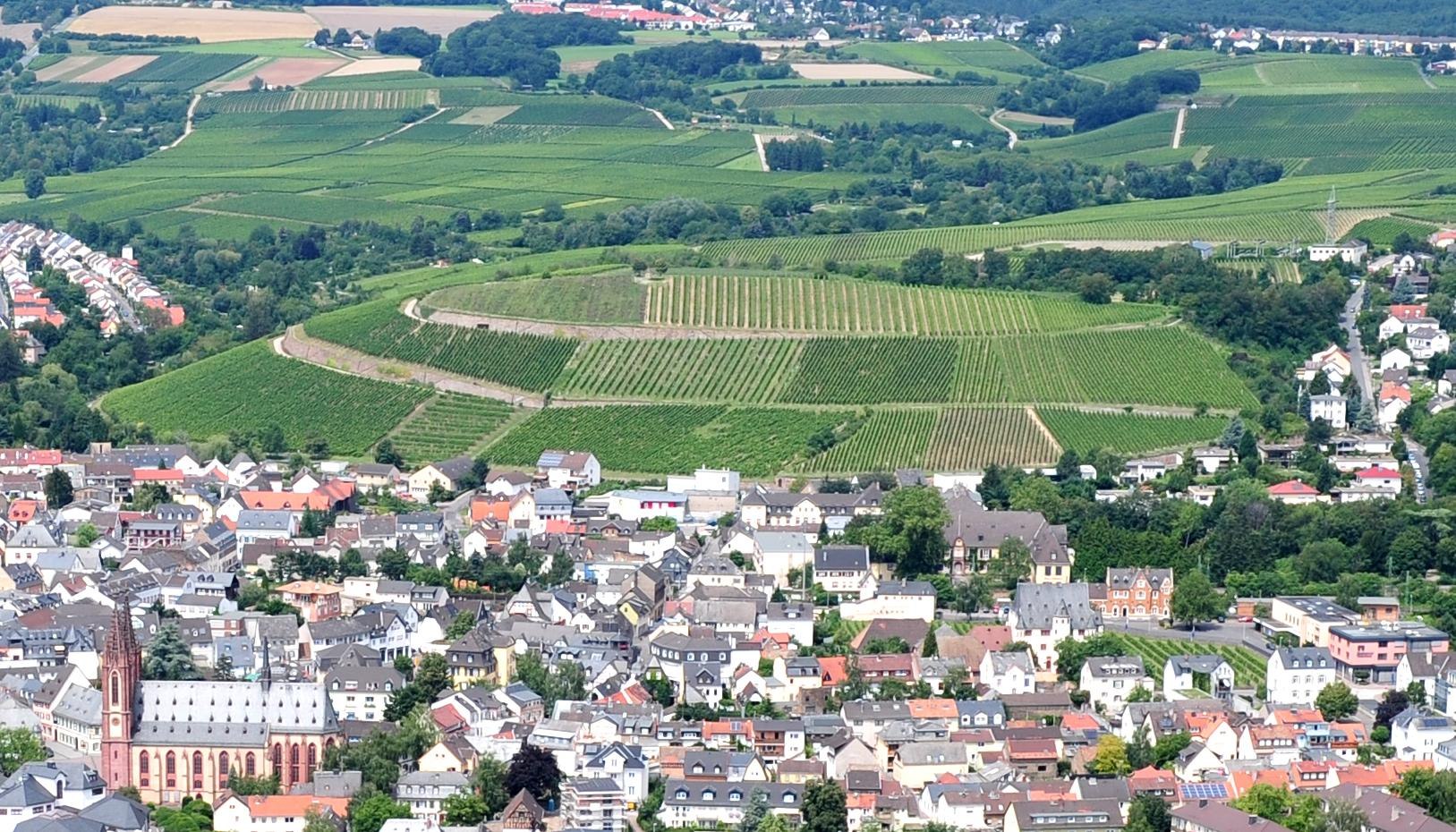 Geisenheimer Rothenberg | &copy; Hermann Heibel