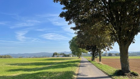 Remagen Rundwanderweg A2 - Auf Kirres | &copy; Tourist-Information Remagen, Romantischer Rhein Tourismus GmbH