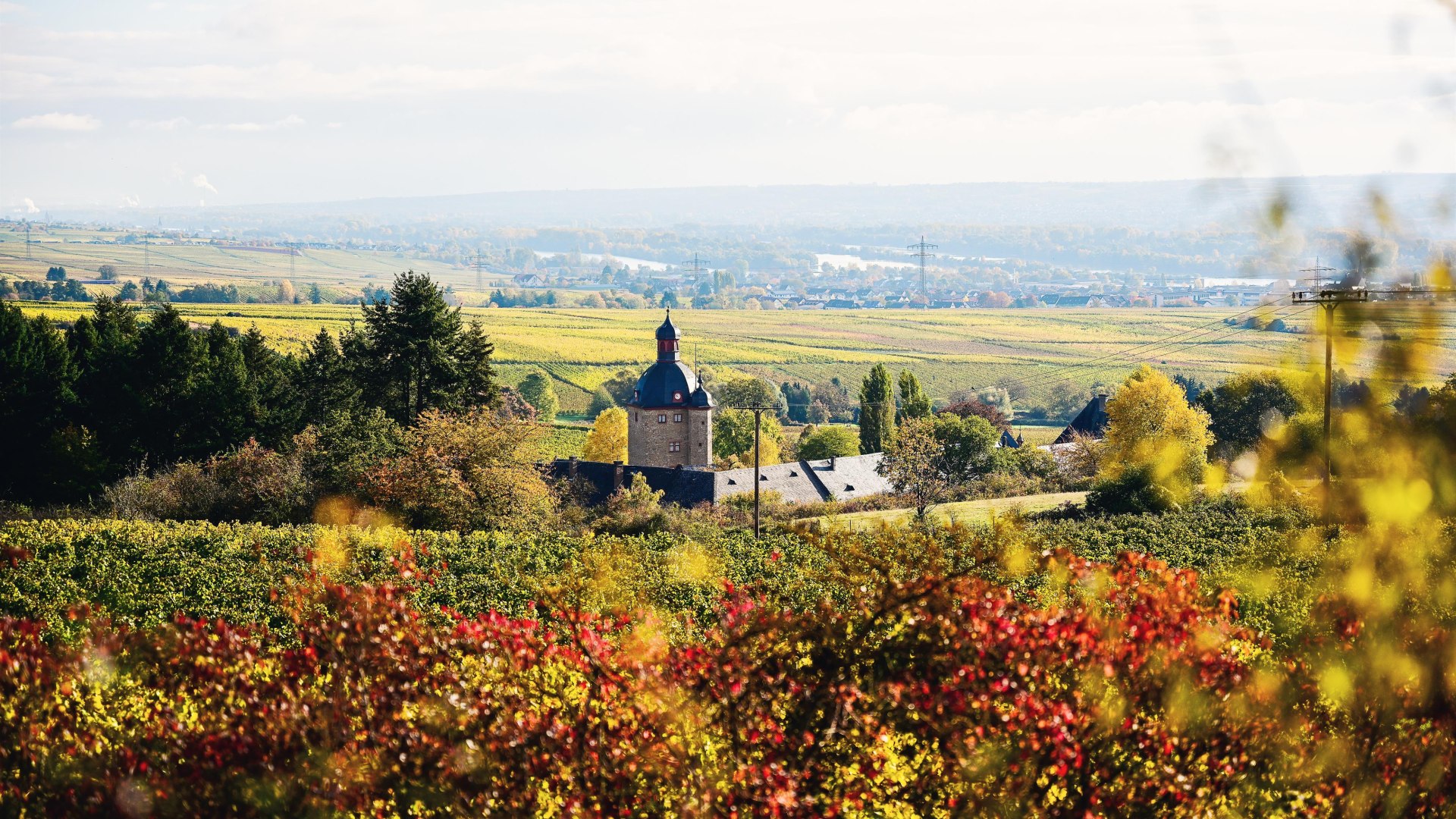 Schloss Vollrads | © Saskia Marloh Schloss Vollrads | © Saskia Marloh