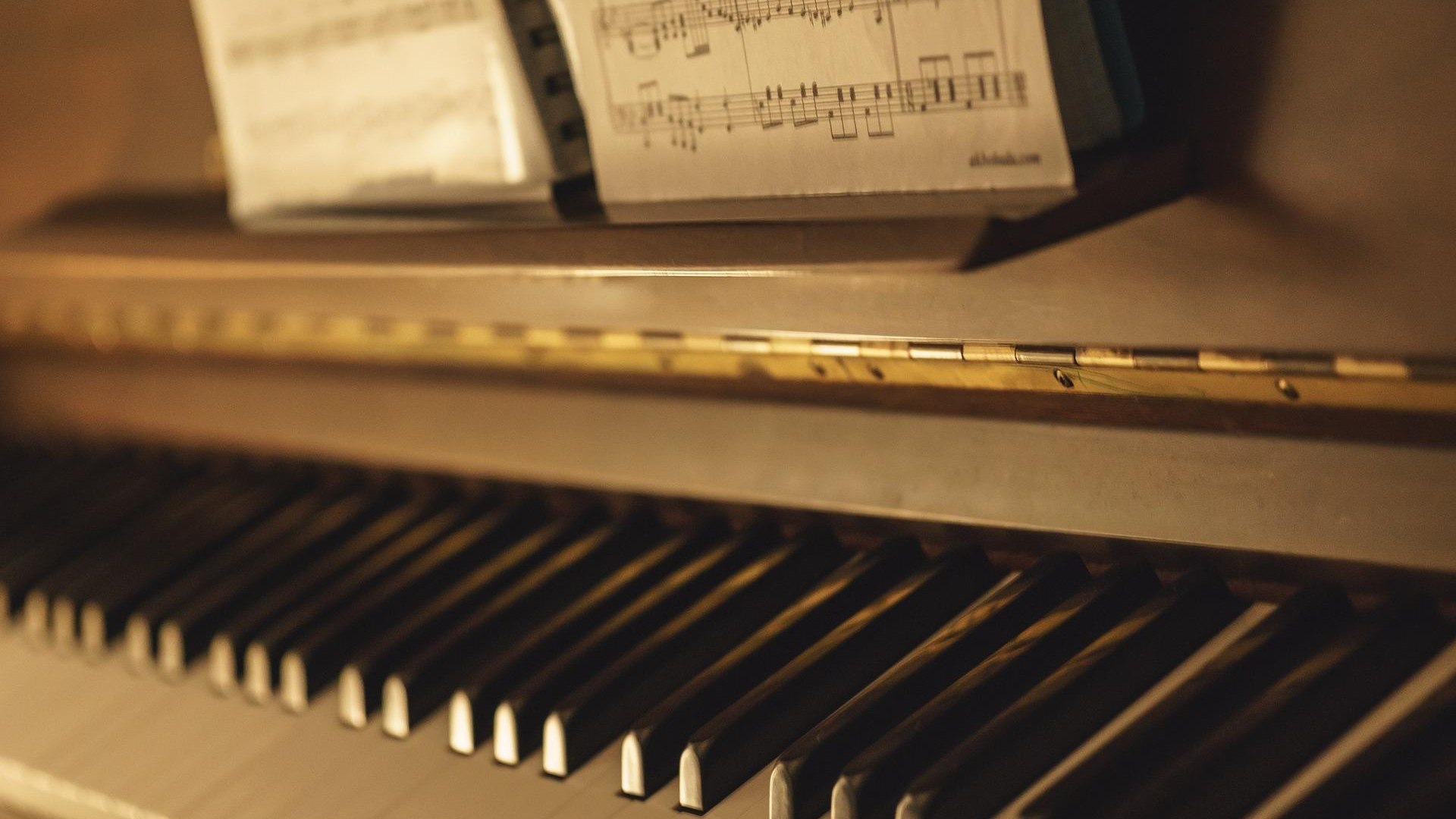 Konzert | © Pixabay Konzert | © Pixabay