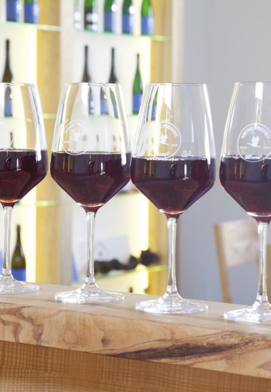 Rotwein Weingut Meine Freiheit | © Weingut Meine Freiheit Rotwein Weingut Meine Freiheit | © Weingut Meine Freiheit
