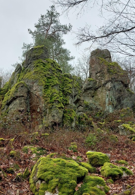 Kuckucksnacks e | &copy; T. Biersch