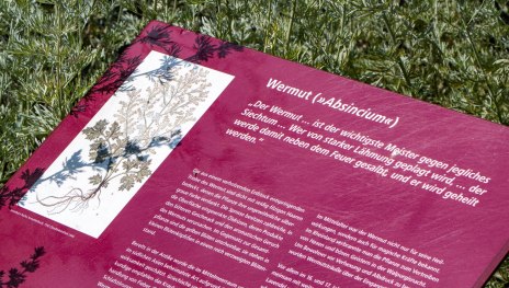 Hildegarten am Msuem am Strom | &copy; Rheinhessen-Touristik