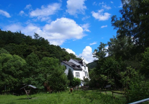 Forstm&uuml;hle 2 | &copy; Forstm&uuml;hle