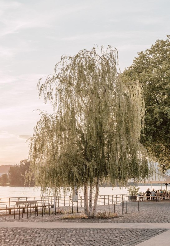 Deichvorgel&auml;nde mit Blick auf den Biergarten | &copy; Zimpfer_Photography