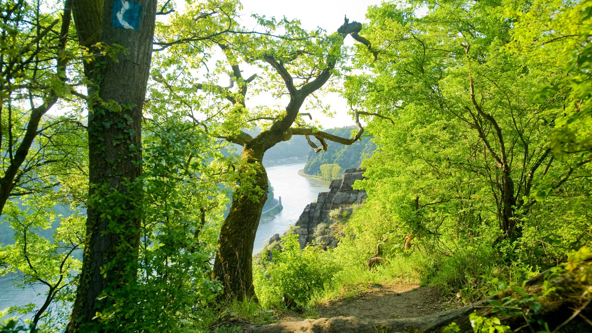 Leiselfeld | © Dominik Ketz / Rheinland-Pfalz Tourismus GmbH