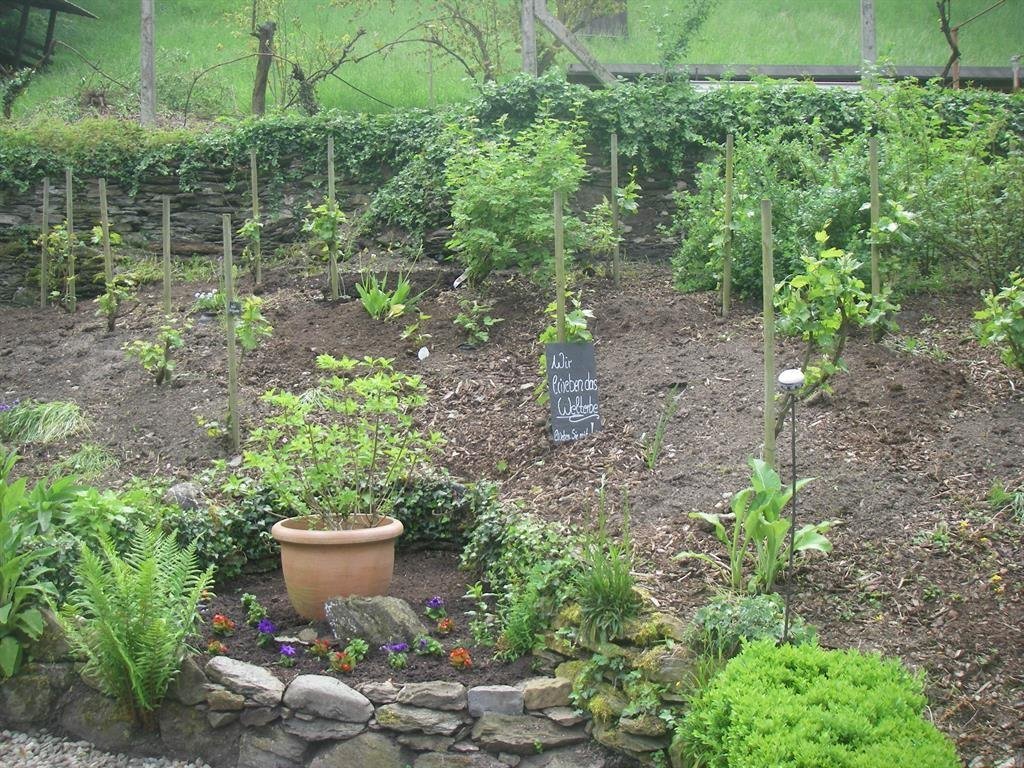 Neubeflanzung | © Landgasthof Zum weissen Schwanen Neubeflanzung | © Landgasthof Zum weissen Schwanen