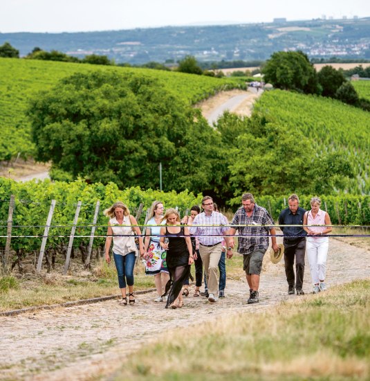 foto-hinter-die-mauer | &copy; Weingut Kloster Eberbach