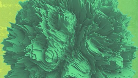 Bass. Strand. Fluss. | &copy; M. Pretzel