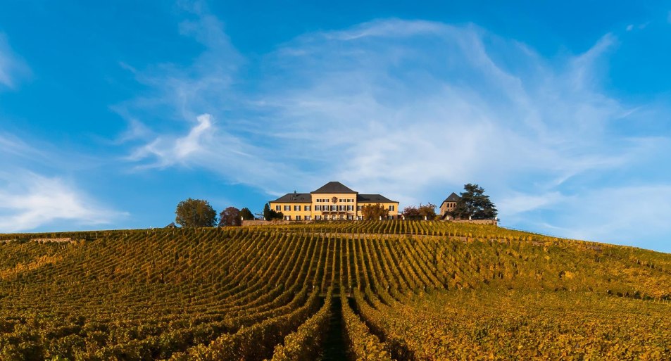 Schloss Johannisberg | &copy; Schloss Johannisberg
