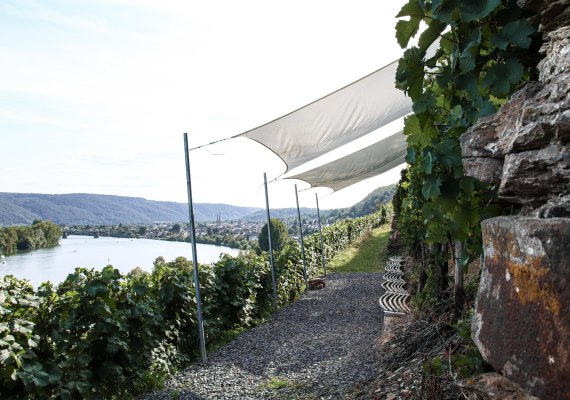 Weingut Schwaab | &copy; Weingut Schwaab