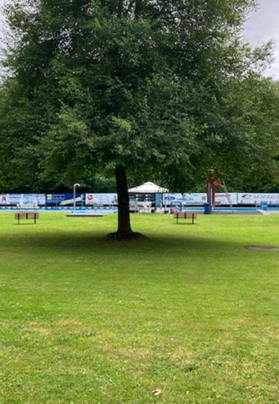 Liegewiese mit Blick auf die Schwimmbecken | &copy; Hans-Dieter Funk