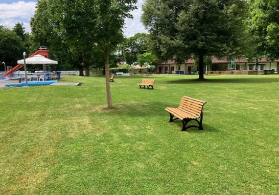 Liegwiese | &copy; Hans-Dieter Funk