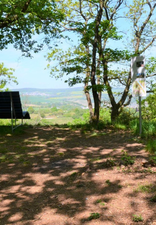 Hinnerbeil 4 | &copy; Tourist-Information Oberwesel