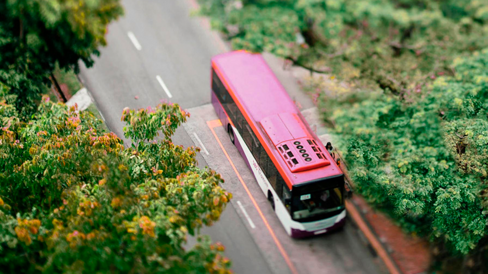 Deichstadtexpress | © Unsplash Deichstadtexpress | © Unsplash