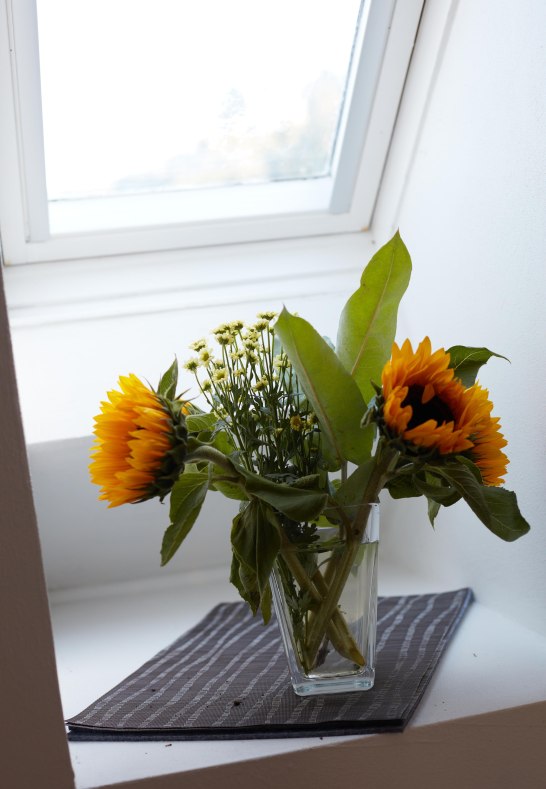 _P9A4966 | © RNT, Simone Bohr