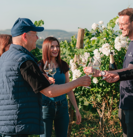 Rheingau-meets-rheinhessen | &copy; Georg M&uuml;ller Stiftung, Bachhuber