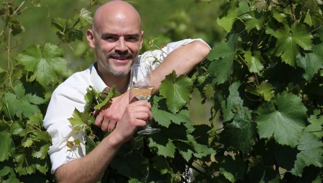 Weingut Nies | © Weingut Nies Weingut Nies | © Weingut Nies