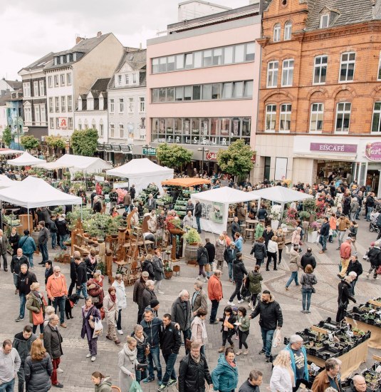 Gartenmarkt Luisenplatz | © Zimpfer Gartenmarkt Luisenplatz | © Zimpfer