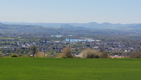 Aussicht ins Rheintal | &copy; Romantischer Rhein Tourismus GmbH