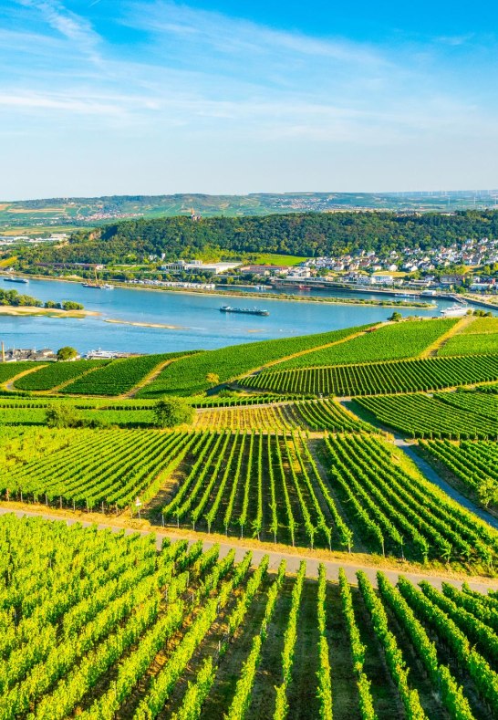 iStock-1140711426 | &copy; trabantos, iStock