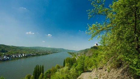 Zecherweg | &copy; Dominik Ketz, Rheinland-Pfalz Tourismus GmbH