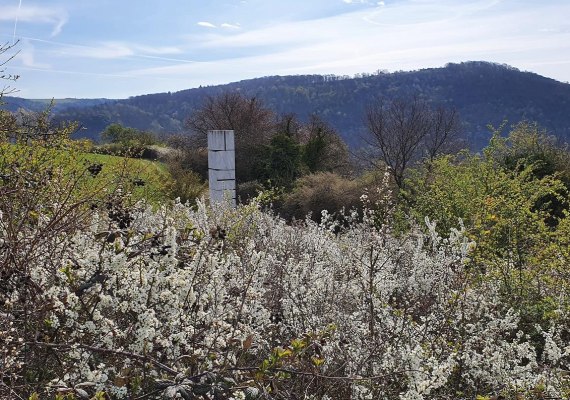 Schrifts&auml;ule im Fr&uuml;hling | &copy; T. Biersch