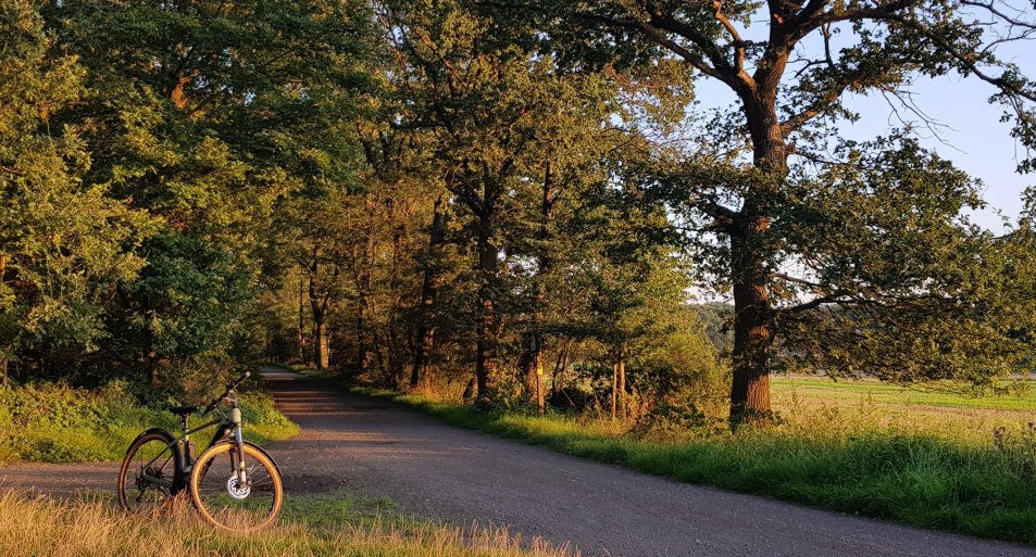 Radfahren auf der Mönchsheide | © Tourist-Information Bad Breisig Radfahren auf der Mönchsheide | © Tourist-Information Bad Breisig