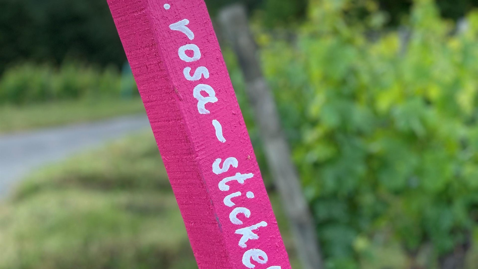 Weingut Rosa Stickel | © Matthias Breuer Weingut Rosa Stickel | © Matthias Breuer