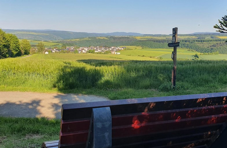 Aussicht bis in den Taunus | &copy; T. Biersch