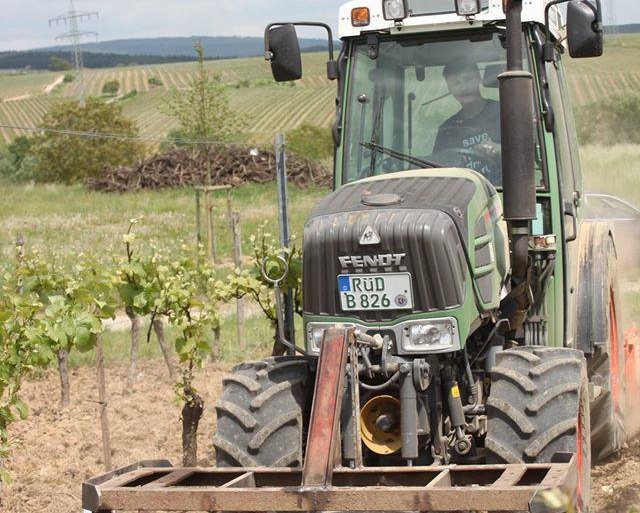 Außenbetrieb Einsaat | © Weingut Hans Bausch Außenbetrieb Einsaat | © Weingut Hans Bausch