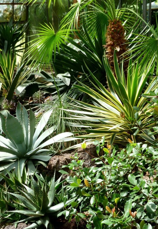 Garten 4 | &copy; Familie Volk