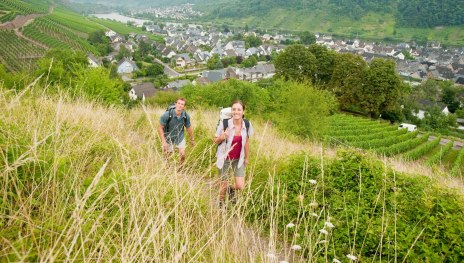 RheinBurgenWeg bei Winningen | &copy; Dominik Ketz, Mittelrhein