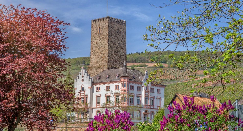 Boosenburg | &copy; R&uuml;desheim Tourist AG - Marlis Steinmetz