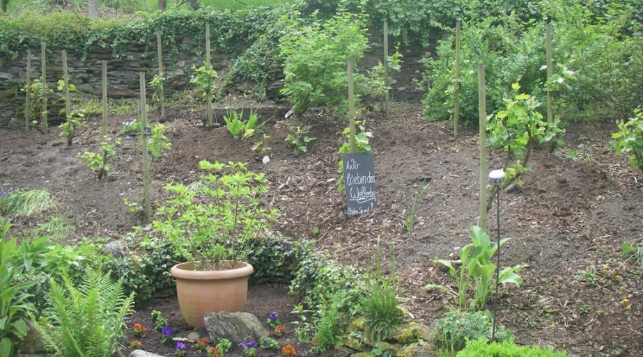 Neubeflanzung | © Landgasthof Zum weissen Schwanen Neubeflanzung | © Landgasthof Zum weissen Schwanen