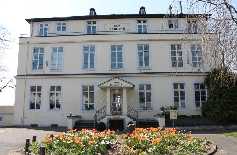 Bucheneck1 | &copy; Caroline Fritzen