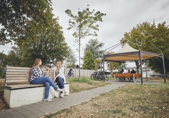 Bank | &copy; Tourist-Info Erlebnis Rheinbogen