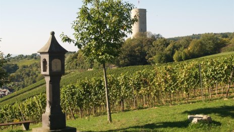 &copy; Wolfgang Blum