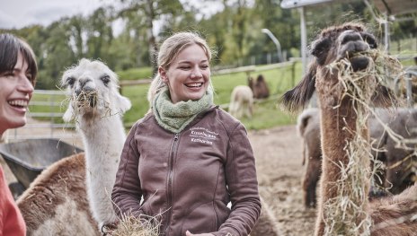 Fütterung Lamas und Alpakas | © HA Hessen Tourismus, Roman Knie