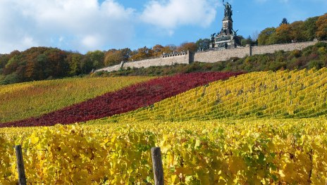 Niederwald Denkmal in R&uuml;desheim | &copy; Karl-Heinz Walter, R&uuml;desheim Tourist AG