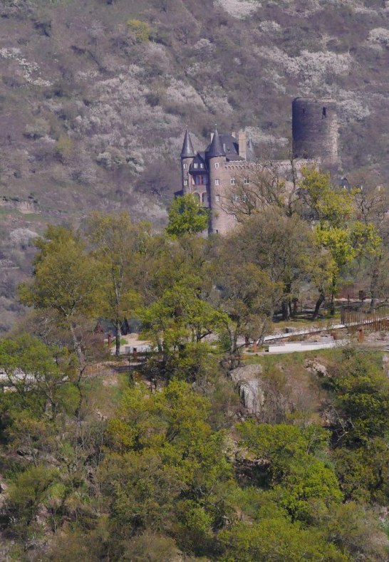 Loreleyplateau mit Burg Katz | &copy; Bernhard Vogt