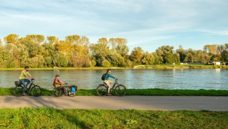 Rheinradweg bei Germersheim | © Dominik Ketz, Pfalz.Touristik e.V.