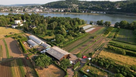 1 | &copy; Katringer Gr&uuml;nzeug eG