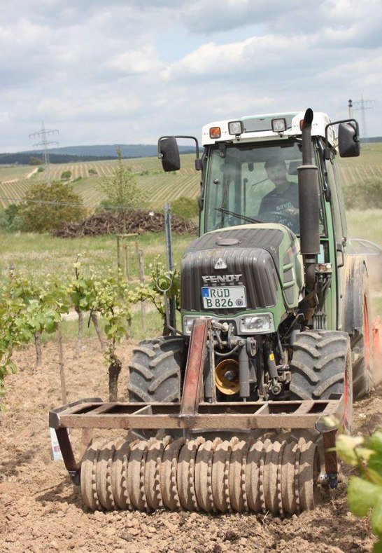 Außenbetrieb Einsaat | © Weingut Hans Bausch Außenbetrieb Einsaat | © Weingut Hans Bausch
