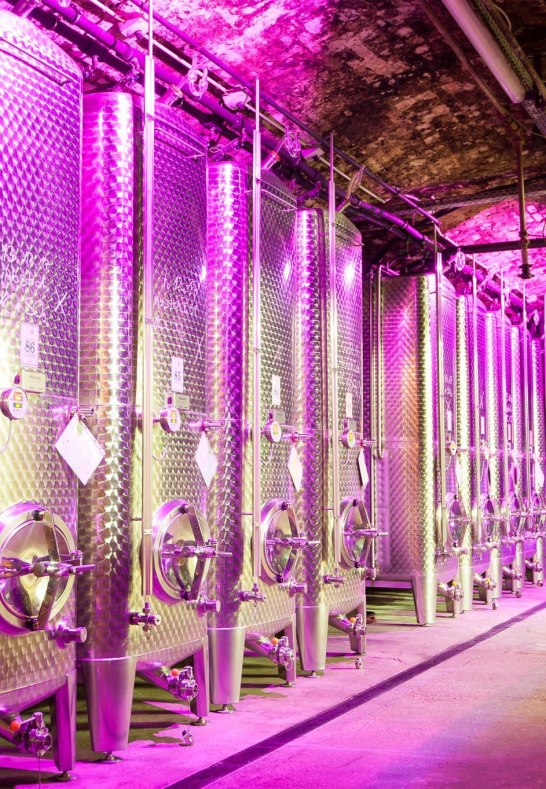 Stahltanks | © Winzer von Erbach Stahltanks | © Winzer von Erbach