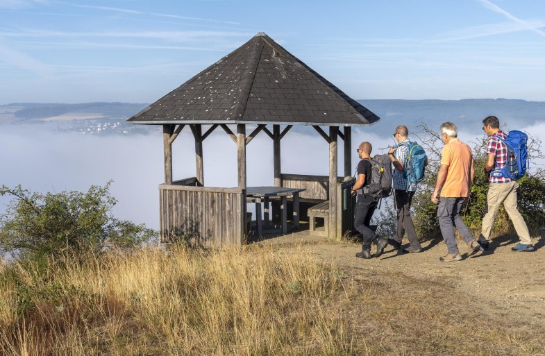 Schwedenschanze | &copy; Katja S. Verhoeven