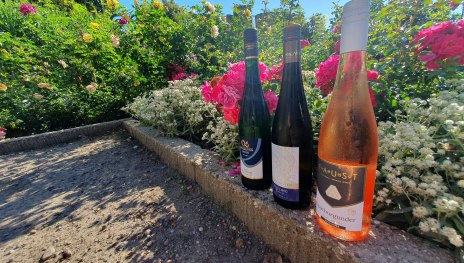 Weinprobe_Zwinger_KF_Burg_Rosen_Sommer_2023 (16) | &copy; Stadt Eltville am Rhein