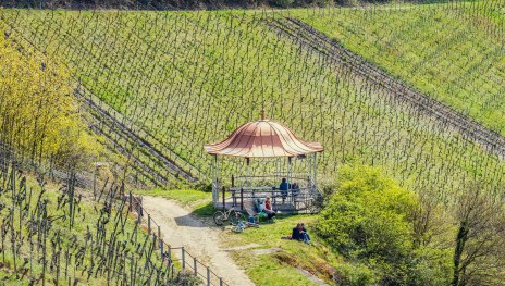 Rast an der Rotweinlaube | © Marlis Steinmetz Rast an der Rotweinlaube | © Marlis Steinmetz